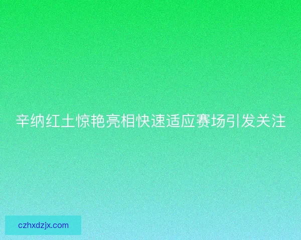 辛纳红土惊艳亮相快速适应赛场引发关注