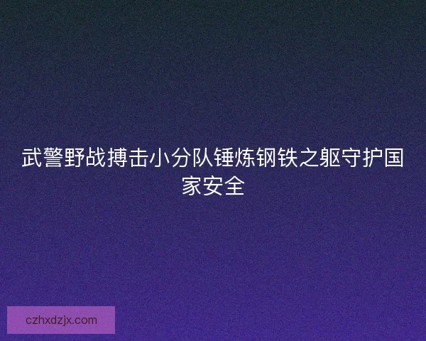 武警野战搏击小分队锤炼钢铁之躯守护国家安全