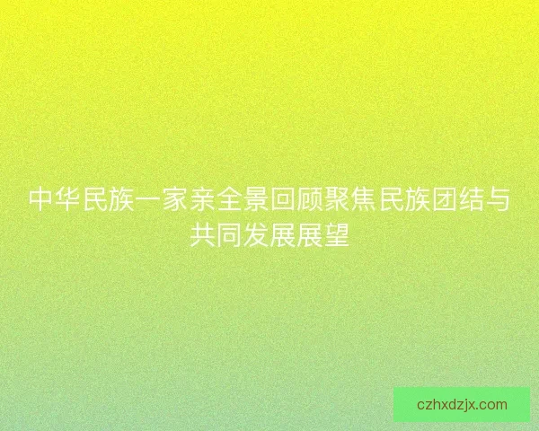 中华民族一家亲全景回顾聚焦民族团结与共同发展展望